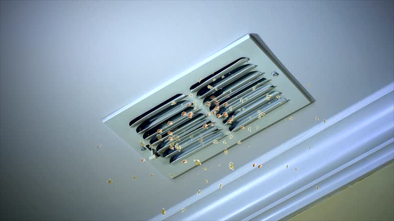 Best HVAC Duct Inspection Services  in Green Hill, TN