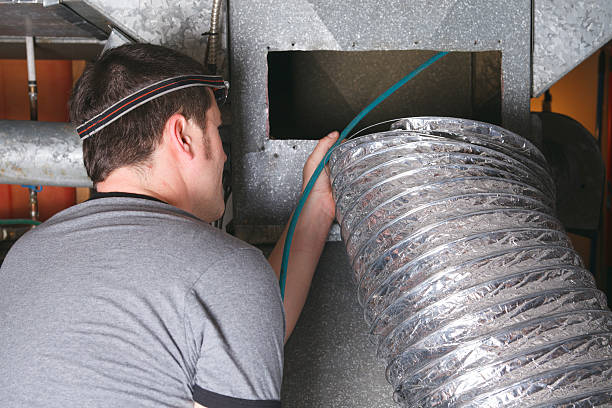 Best Air Duct Mold Removal  in Green Hill, TN