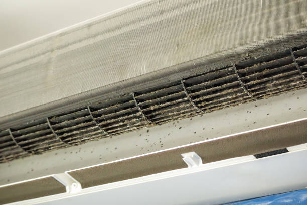 Best Best Air Duct Cleaning Company  in Green Hill, TN